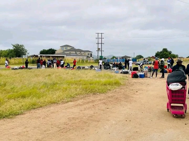 Young people from Siyandhani near Giyani have secured farm jobs at ZZ2, offering hope in an area struggling with high unemployment and a long-dormant airport project. Young people from Siyandhani near Giyani have secured farm jobs at ZZ2, offering hope in an area struggling with high unemployment and a long-dormant airport project.
