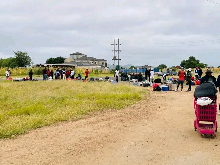 Young people from Siyandhani near Giyani have secured farm jobs at ZZ2, offering hope in an area struggling with high unemployment and a long-dormant airport project.